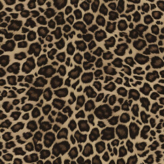 leopard, fluffy wool texture, beautiful pattern, wild animal fur