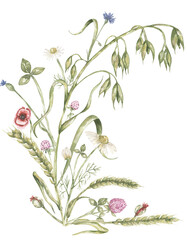 Watercolor green wheat and oat branch with poppy, clover and daisy flowers bouquet illustration, hand drawn field flora arrangement