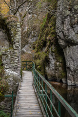Bridge over the river in autumn forest near to Devin, Smolyan, Bulgaria