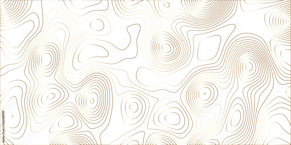 Poster Abstract white golden gradient Topographic line map background. Contour elevation topographic and textured Background Modern design with White background with topographic wavy pate for decoration.	