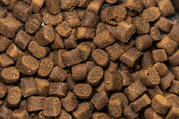 gros plan d'une photo de croquettes en gros plan, pour chien ou chat, texture, aliment, transformé, structure, définition, modèle, fond