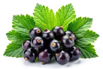 Surreal Black Currant Berries with Lush Green Leaves Isolated on White Background - Nature's Bounty, Fresh Fruits, Healthy Living, Organic Foods, Vibrant Colors, Artistic Presentation