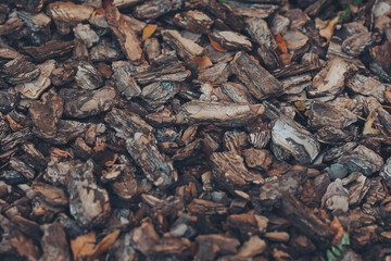 Background from coniferous tree bark pieces. Abstract background texture. Crushed tree bark texture background closeup. Shredded brown tree bark for decoration and mulching or for playground