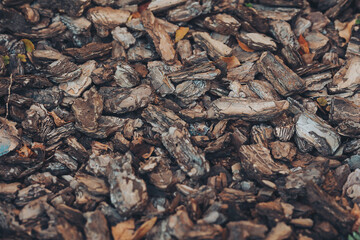 Background from coniferous tree bark pieces. Abstract background texture. Crushed tree bark texture background closeup. Shredded brown tree bark for decoration and mulching or for playground
