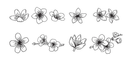 Outline sakura flowers blossom set. hand drawn doodle sakura flower line icons collection. Realistic floral bloom for spring japanese or chinese design