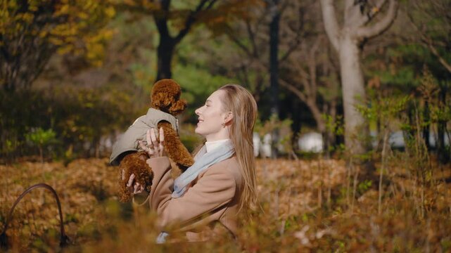 Joyful Smiling Woman Playing with Dog in Autumn Park, Holding Up Toy Poodle Brown Doggy in Hands And Talking With Pet With Love - slow motion, parallax shot close-up