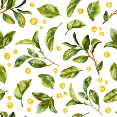 Naklejka premium Pattern with green leaves on a white background