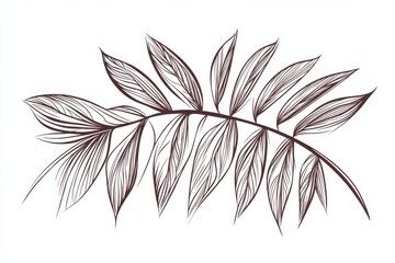 outline drawing exotic leaf on white background, , graphic elements for website design	