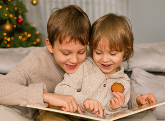 Two happy brothers sitting on the sofa and reading a book. Christmas tree on the background. Kids play at home.