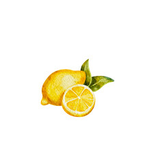 Half a lemon, citrus illustration in watercolor 