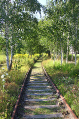 Old abandoned railroad, overgrown with grass and vines, disappears into a tree tunnel.