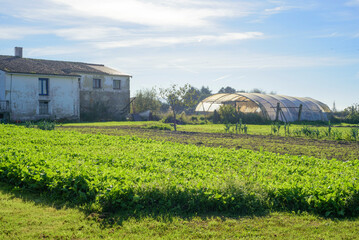 Huerta junto a casa rural e invernadero © Darío Peña