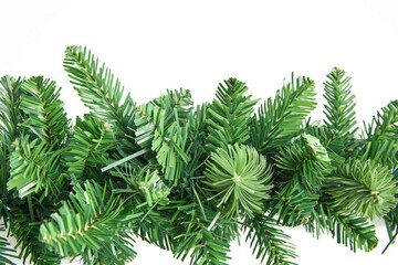 Naklejka premium A detailed view of several pine trees together