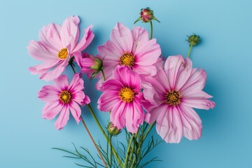 A bunch of pink flowers sitting on a blue surface