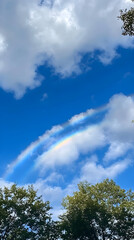 Obraz premium A clear sky showcases a vibrant rainbow arching across fluffy clouds, framed by lush green trees, creating a serene and uplifting atmosphere