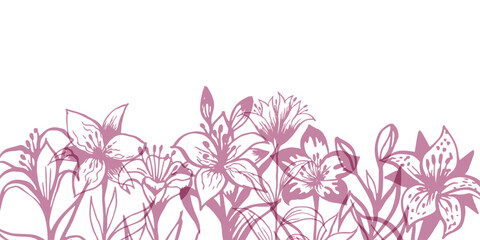 Lillies floral border. Horizontal down divider, pink color. Easter or  religion funeral decoration element.