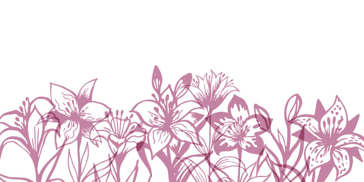 Lillies floral border. Horizontal down divider, pink color. Easter or  religion funeral decoration element.