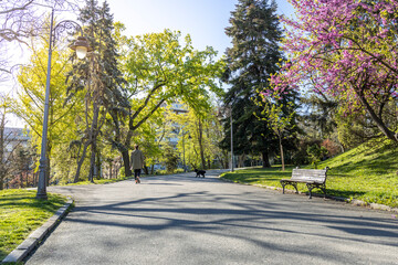 Woman is walking down a path in a park