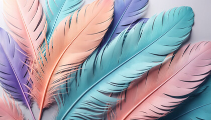 pastel colour feather abstract background