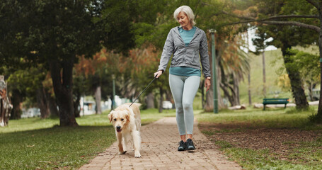Walking, dog and fitness with old woman in park for pet training, adventure and health. Animal...