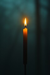 The warm flame of a lone candle illuminates its surroundings, casting gentle light in a peaceful setting, perfect for relaxation or contemplation