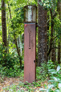 Rusted bowser in K'gari Fraser Island forest, historical wreckage remnants of timber industry, overgrown by rainforest