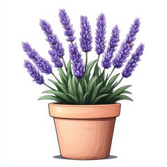 Obraz premium Potted Lavender Plant Cartoon Illustration
