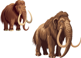 Obraz premium Two mammoths standing on a white background