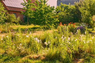 garden in an ecologically desirable way

