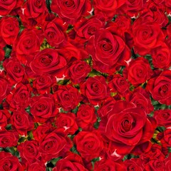 Seamless pattern bouquet of red roses