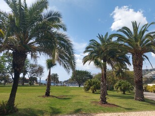 natureza, ar livre, paisagem, montanha, verde, azul, c&eacute;u, nuvens, mar, oceano, onda, floresta, &aacute;rvores, &aacute;gua, paz, para&iacute;so, relaxamento, viagem, portugal, madeira, ilha da madeira