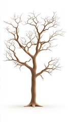 Barren tree with intricate branches against white isolated background.
