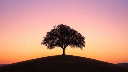 Obraz premium Silhouette of a Tree on a Hilltop at Sunset