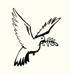 Obraz premium Vector drawing. Cute flying dove