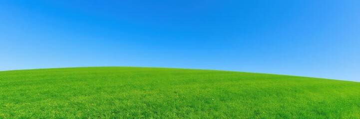 Green, manicured grass covering a pristine golf course with a clear blue sky overhead, nature, peaceful