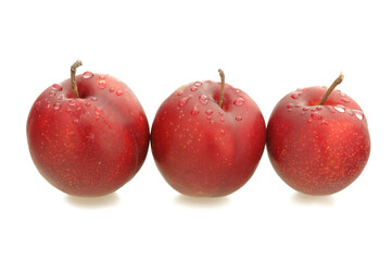three Plum plume on white background
