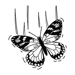 Butterfly design, labeled line and fill art vector illustration. 