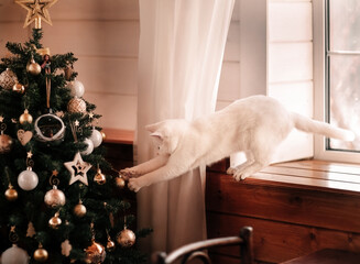 white cat playing toy with Christmas tree toys