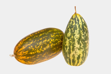 Two Cucumber Madras on white background