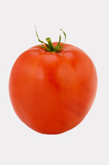 One Tomato on white background