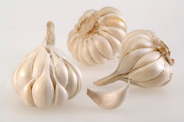 Garlic Allium sativum on white background