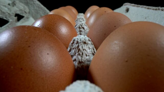 Collection of brown eggs in a carton