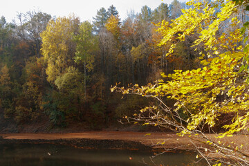 jeziorko w środku jesiennego lasu