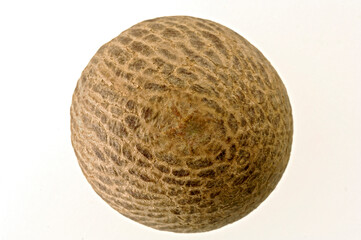 Betel Nuts