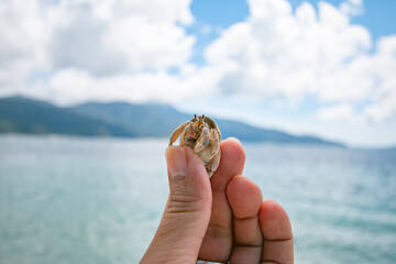 Sichuan crab and the beautiful blue sea and sky