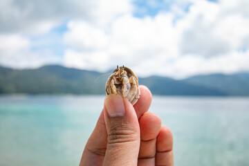 Sichuan crab and the beautiful blue sea and sky