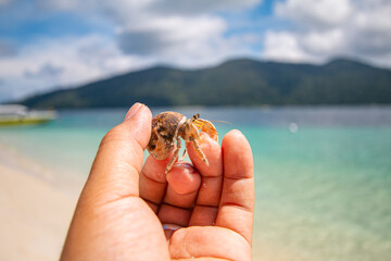 Sichuan crab and the beautiful blue sea and sky