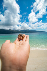 Sichuan crab and the beautiful blue sea and sky