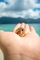 Sichuan crab and the beautiful blue sea and sky