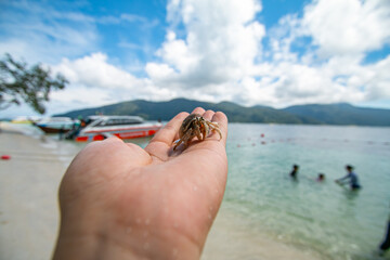 Sichuan crab and the beautiful blue sea and sky